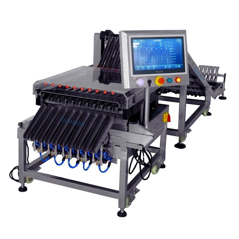 Multi-Lane Pouch Checkweigher Manufacturer